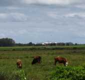 Fotos - Capo da Porteira - RS