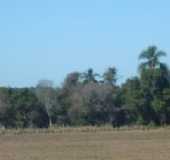 Pousadas - Cortado - RS