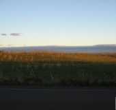 Fotos - Monte Alegre - RS