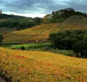 Fotos - Monte Belo do Sul - RS