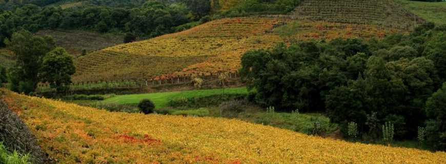 Monte Belo do Sul-RS