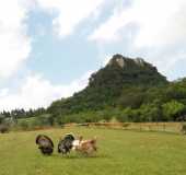 Pousadas - Passo do Sobrado - RS