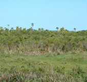 Pousadas - Rancho Velho - RS