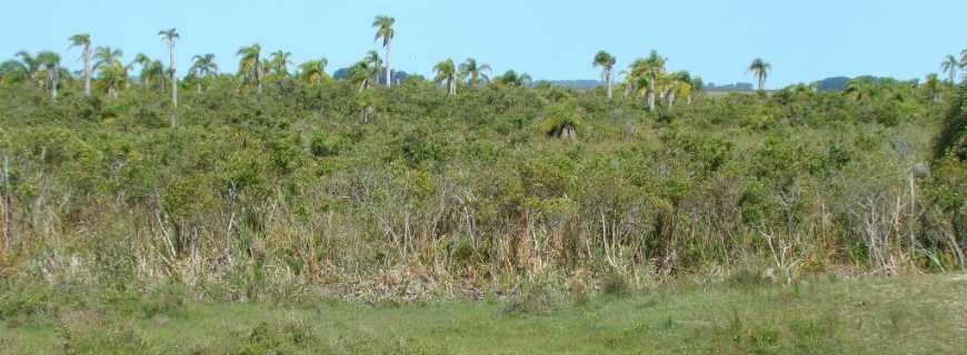 Rancho Velho-RS