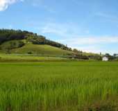 Pousadas - Doutor Pedrinho - SC