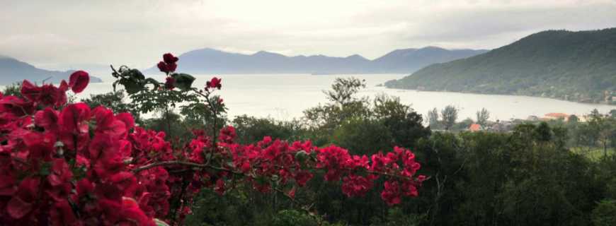 Enseada de Brito-SC