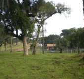 Fotos - Fragosos - SC