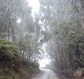 Fotos - Iraput - SC
