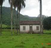 Fotos - Rio das Furnas - SC