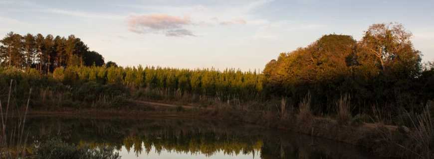 Taquara Verde-SC