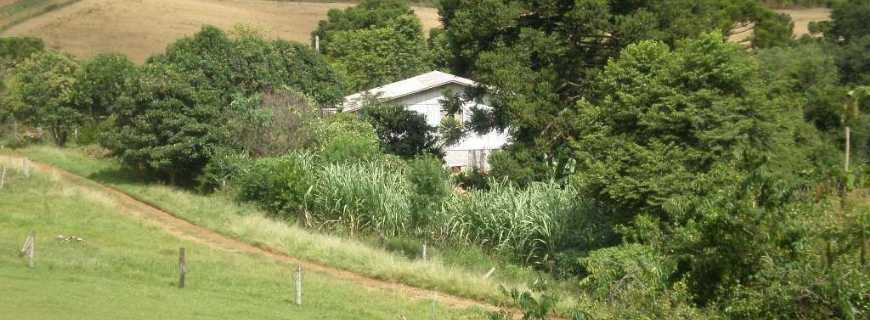 Tupitinga-SC