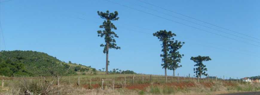 Unio do Oeste-SC