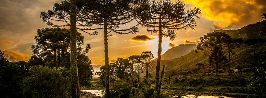 Urubici-SC