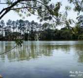 Pousadas - Atibaia - SP