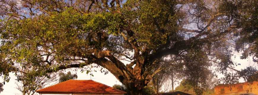 Itaqueri da Serra-SP