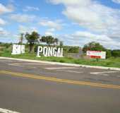 Fotos - Ponga - SP