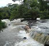 Pousadas - Pontes Gestal - SP