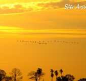 Pousadas - Ribeiro dos ndios - SP