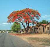 Pousadas - Axix do Tocantins - TO