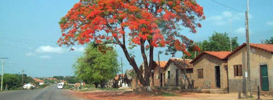 Axix do Tocantins-TO