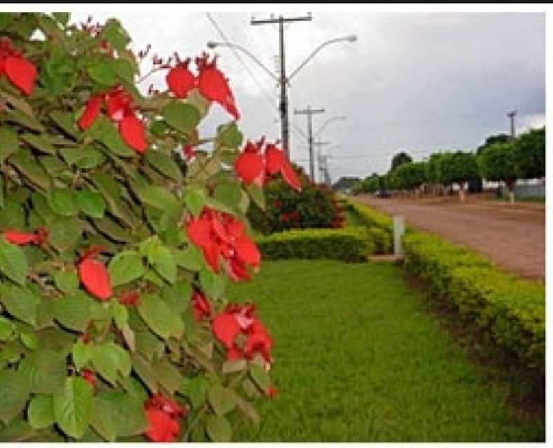 ACRELNDIA-AC-AVENIDA NO CENTRO DA CIDADE-FOTO:WWW.MULTICIPIOS.COM.BR - ACRELNDIA - AC