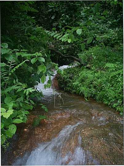 CACHOEIRA DO ARCONDICIONADOR, POR WILLIAN CRISTIAN DE ANDRADE - MNCIO LIMA - AC