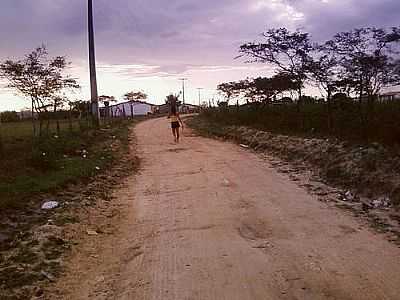 ENTRADA DA CIDADE-FOTO: M.SLL  - SANTANPOLIS - BA