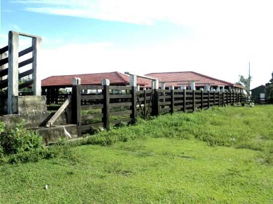 FAZENDA, POR ROBERTO - SANTO ANTNIO DE BARCELONA - BA