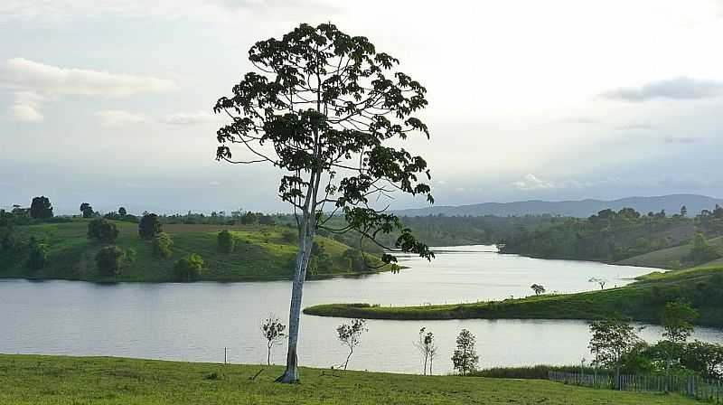 SANTO ANTNIO DE JESUS-BA-REPRESA RIO DA DONA-FOTO:NANDOROCK RODRIGUES - SANTO ANTNIO DE JESUS - BA