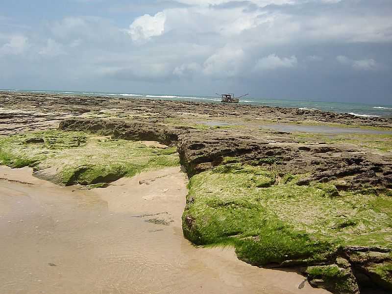 JEQUI DA PRAIA-AL-DUNAS DE MARAP-FOTO:ENIOPRADO  - JEQUI DA PRAIA - AL