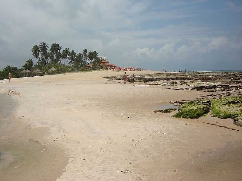 JEQUI DA PRAIA-AL-DUNAS DO MARAP-FOTO:ENIOPRADO - JEQUI DA PRAIA - AL