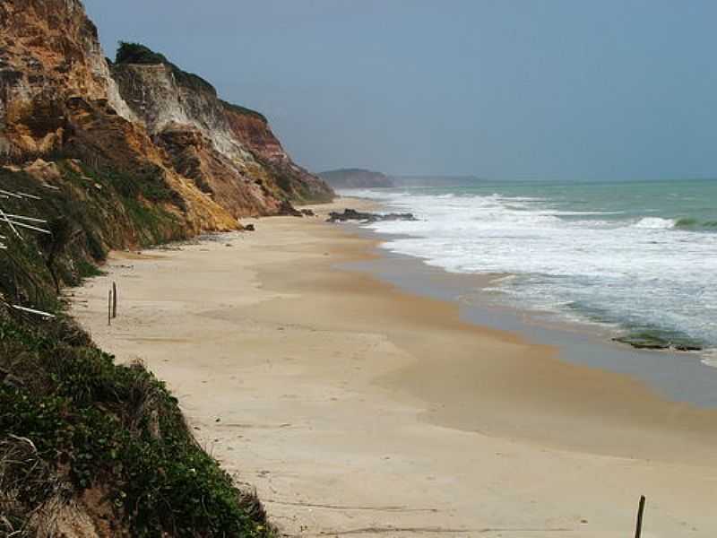 JEQUI DA PRAIA-AL-FALSIAS NA PRAIA DA LAGOA AZEDA-FOTO:ALEXANDRE VILELA - JEQUI DA PRAIA - AL