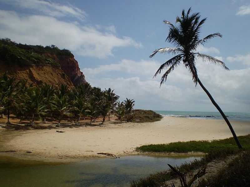 JEQUI DA PRAIA-AL-LAGOA E PRAIA DE JACARECICA DO SUL-FOTO:WWW.OVERMUNDO.COM.BR - JEQUI DA PRAIA - AL