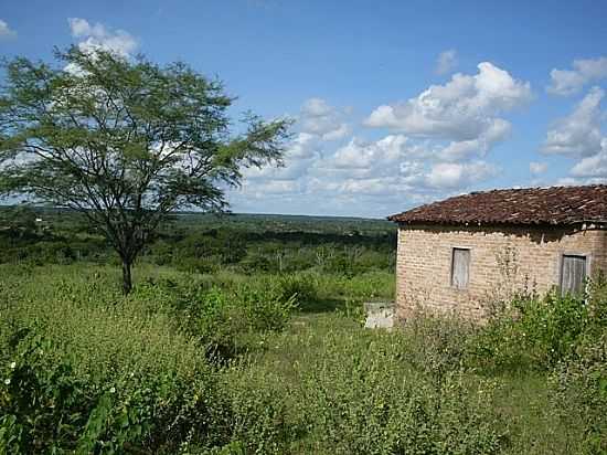 CASA NA REA RURAL EM SO DOMINGOS-BA-FOTO:JORGE LN - SO DOMINGOS - BA