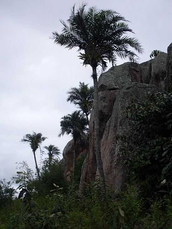 OS CINCO IRMOS NA SERRA DA CRUZ EM SO DOMINGOS-BA-FOTO:JORGE LN - SO DOMINGOS - BA