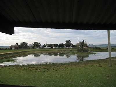 FAZENDA ST.ANTONIO-FOTO:HENRIQUE DE BORBA - SANTA MARGARIDA DO SUL - RS