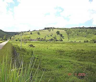 FAZENDA MATOS-FOTO:WESLEYPORTUGAL  - SUCANGA - MG