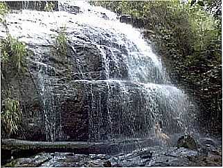 CACHOEIRA CRREGO CAF
POR JULIERME.G.M... - RIALMA - GO