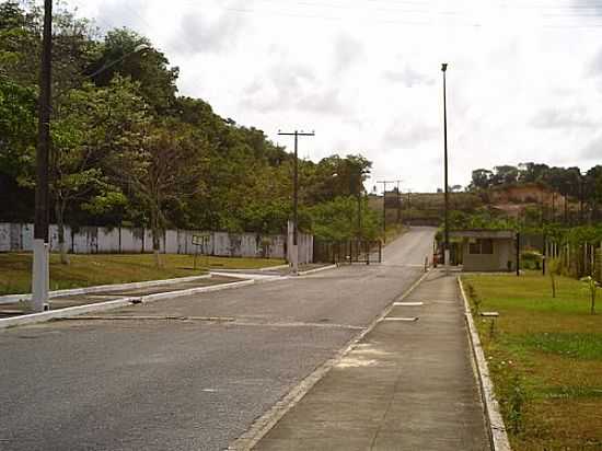 CAVALEIRO-FOTO:DIOGO AUTARQUIA - CAVALEIRO - PE