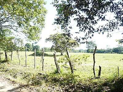 REA RURAL-FOTO:ARQUILES CAMPOS  - PARATIBE - PE