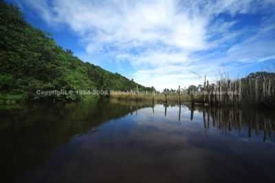 RIO TRANCOSO, POR ROBSON  - TRANCOSO - BA