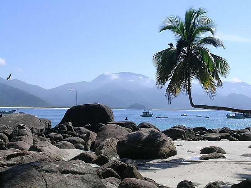 ILHA GRANDE - RJ - ILHA GRANDE - RJ