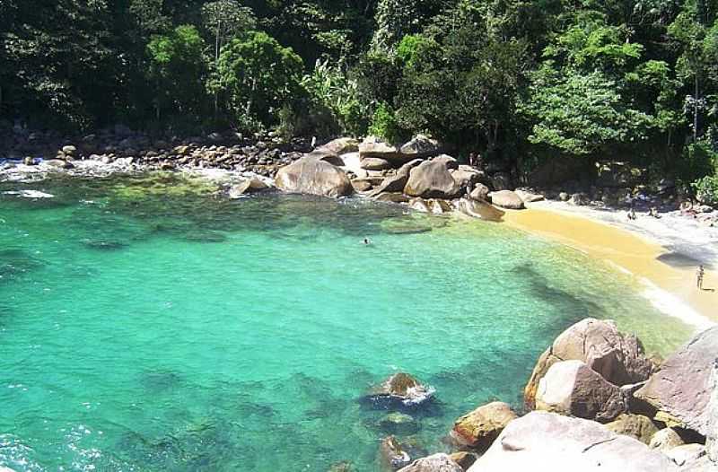 ILHA GRANDE - RJ - ILHA GRANDE - RJ