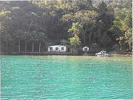CASEBRE NA LAGOA AZUL - ILHA GRANDE-FOTO:MARCELO PARISE PETAZ - ILHA GRANDE - RJ