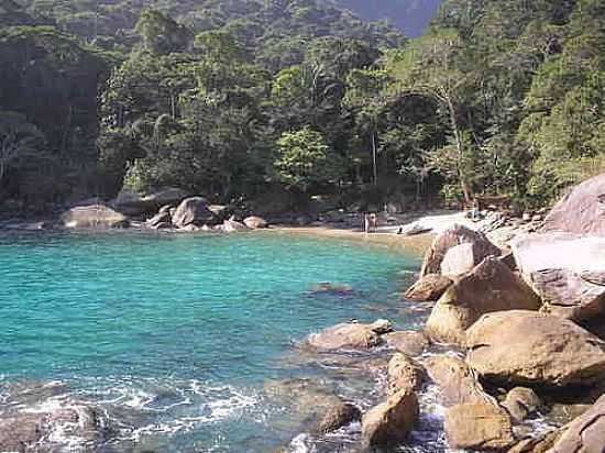 CAXADAO EM ILHA GRANDE-FOTO:MARCELO PARISE PETAZ - ILHA GRANDE - RJ