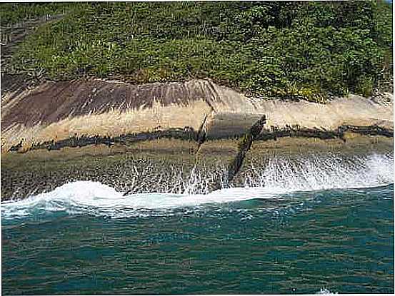 ENCOSTA - ILHA GRANDE-FOTO:MARCELO PARISE PETAZ - ILHA GRANDE - RJ