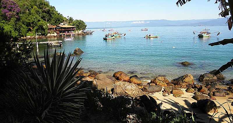 ILHA GRANDE - RJ - ILHA GRANDE - RJ