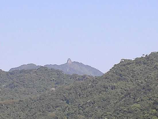 PICO DO PAPAGAIO-FOTO:MARCELO PARISE PETAZ - ILHA GRANDE - RJ