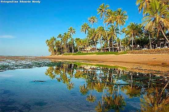 PRAIA DO FORTE - BA - PRAIA DO FORTE - BA