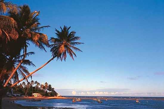 PRAIA DO FORTE - BA - PRAIA DO FORTE - BA